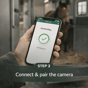Power On. Connect.